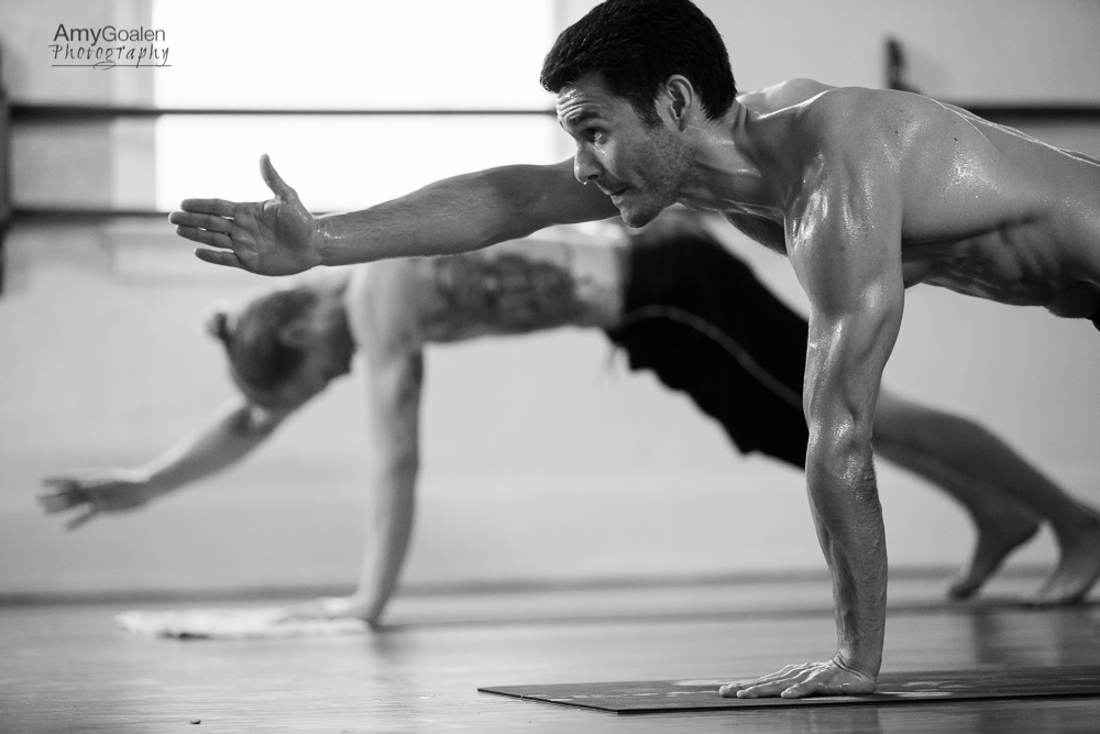 herbivores have better body&nbsp;odor