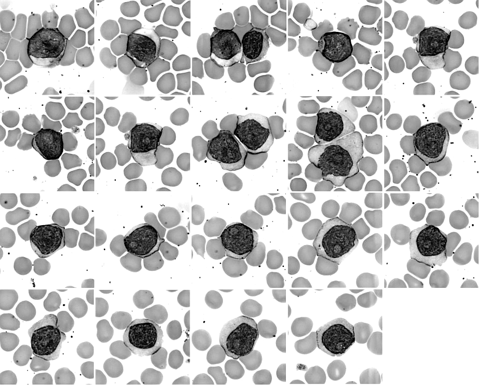 Automated healthcare & legal&nbsp;advice