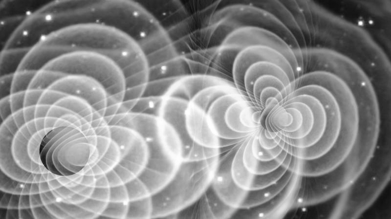 the roots of alzheimer’s and&nbsp;schizophrenia